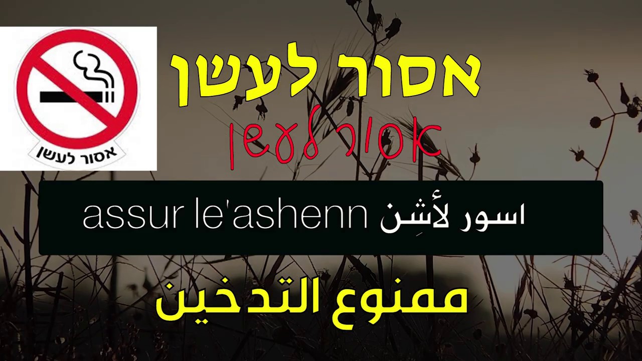 الجزء الثامن | اهم الجمل والكلمات المستخدمة في اللغة العبرية | שלטים