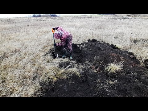 Нашли фундамент в траве...