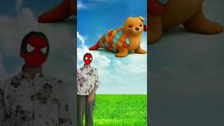 The Creative Pangolin Mascot Takes Over the Football Field