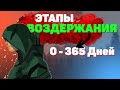 ЭТАПЫ ВОЗДЕРЖАНИЯ С 0 до 365 ДНЕЙ | Избеги ошибок | Изменения в организме | Воздержание Просвещённый