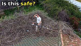 This Is What I Went Through To Give Them Back Their Yard!