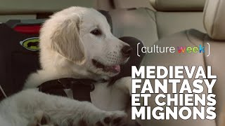 Culture Week #53 - Medieval Fantasy et Chiens Mignons