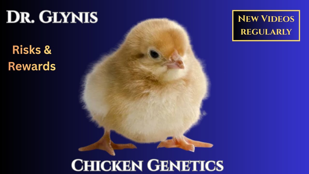 1. Chicken Genetics - Why is Chicken Genetics Important?