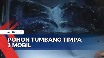 Pohon 14 Meter Tumbang Timpa 3 Mobil di Parepare saat Hujan Disertai Angin Kencang