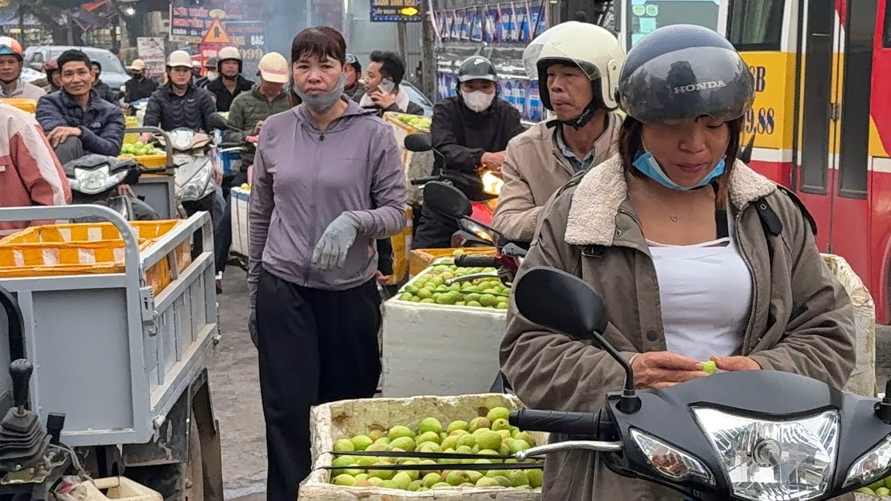 Cập Nhật Giá Táo Tại Chợ Táo Lớn Nhất Miền Bắc 