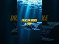#shorts#whale dragon #in sea sides.