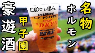 甲子園名物ホルモンで最強呑み【野球観戦・阪神vs巨人】甲子園カレーにビール最高