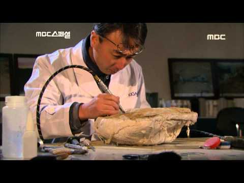 Dr. Yuong-nam Lee Interview - The Land of Dinosaurs, #20, 이융남 박사 인터뷰
