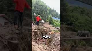 Uçan Tavukların Sırrı 😳🐔