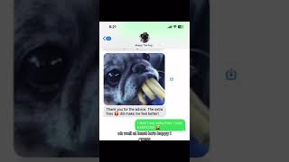 Elderly, Blind, Deaf, Diabetic Pug Only Has One Thing On His Mind…. Food!! by Salas Paw Spa 972 views 1 year ago 1 minute, 41 seconds