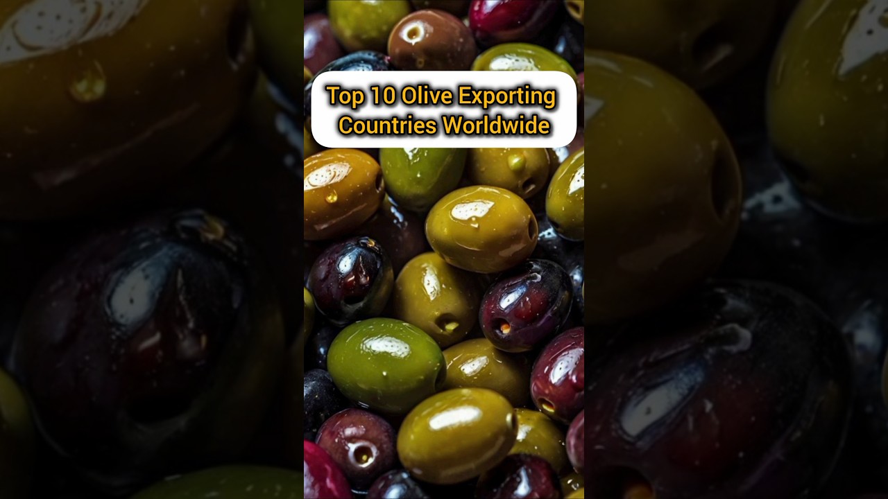 ‎Top 10 Olive Exporting Countries Worldwide🌍