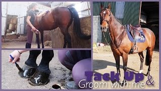 TACK UP AND GROOM WITH ME | & Barn fun