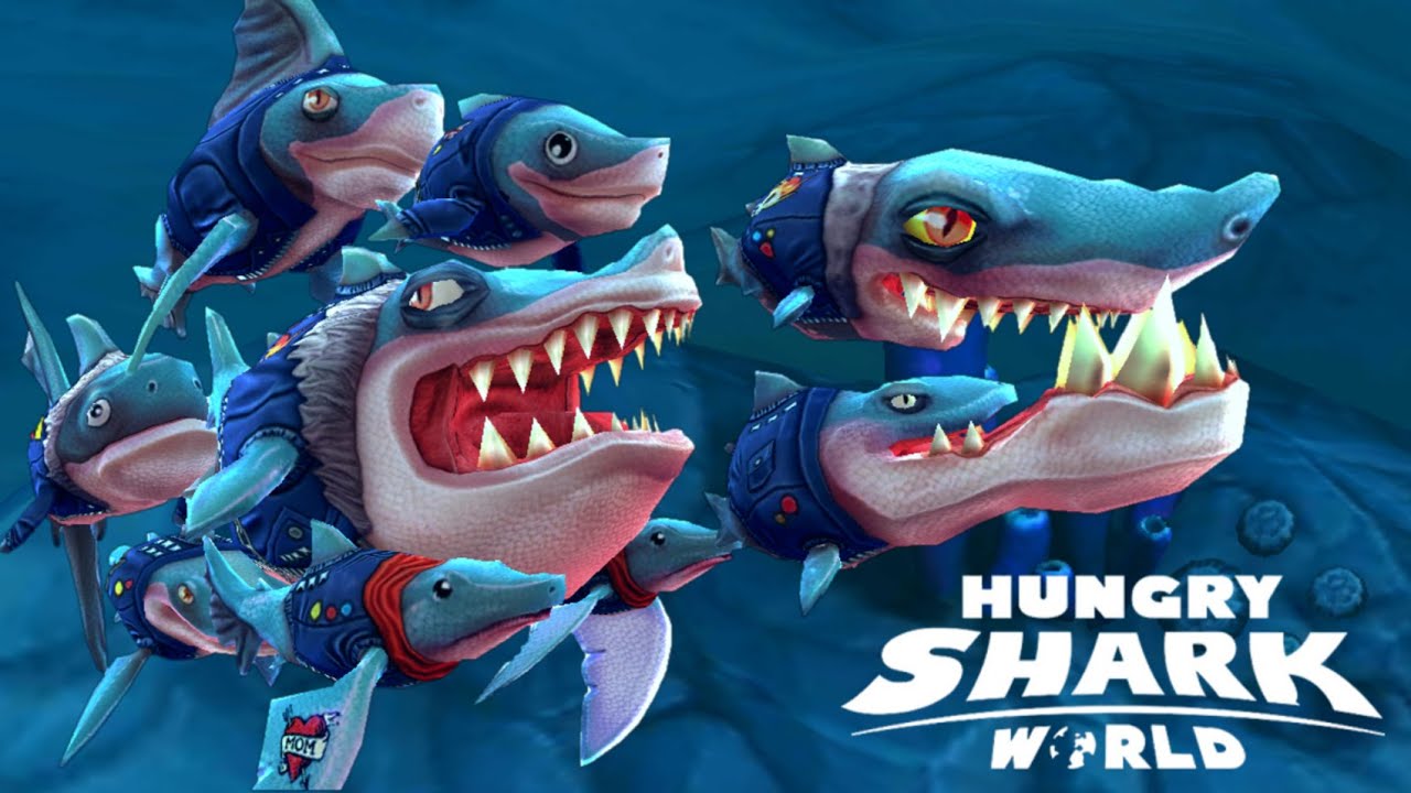 Последняя версия hungry shark world много денег. Хангри скин. Feral Frenzy Shark x Human. Хангри Волгоград.