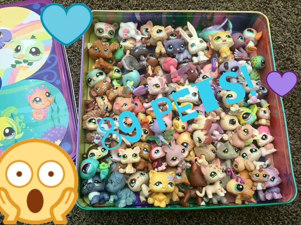 lps big lot