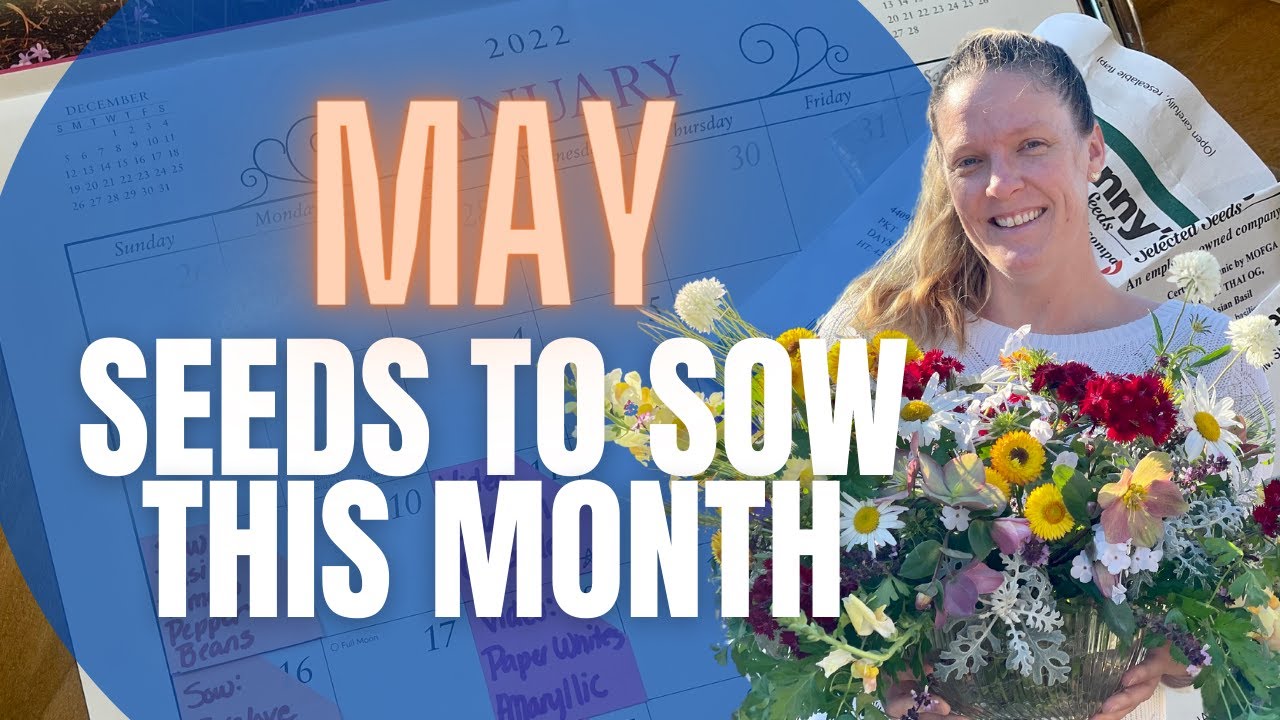 WHAT SEEDS TO SOW IN MAY 🌱🌱🌱 || When To Sow Seeds || Cut Flower Garden Seeds