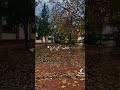 خايف سميكي عمري ويطلع عمري قصير 