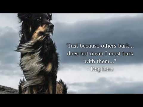 Dog Lore #1