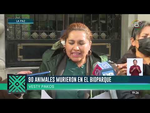 ACTIVISTA AMPLÍA QUERELLA PENAL CONTRA ARIAS POR LA MUERTE DE 90 ANIMALES EN EL VESTY PAKOS