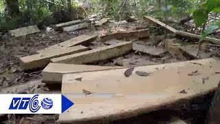 Kiểm lâm tiếp tay phá rừng Tây Nguyên? | VTC