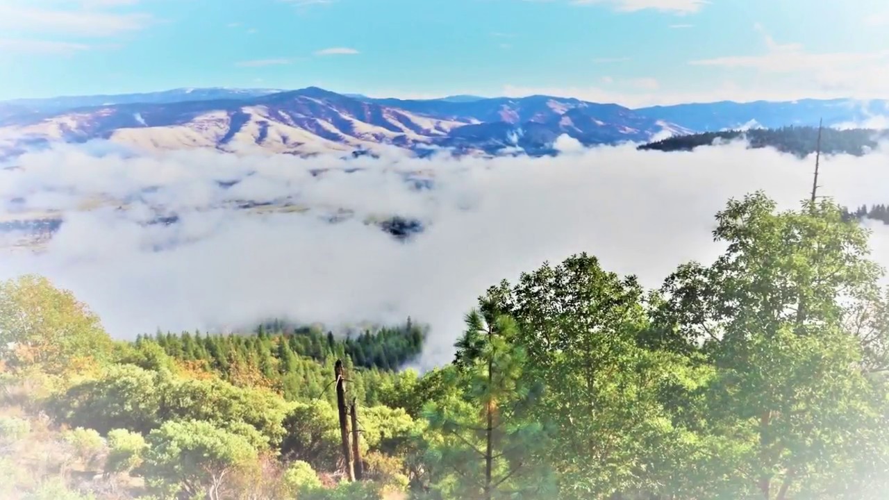 Parkhurst Wine Cellars ~ The Vineyards of Rogue Valley