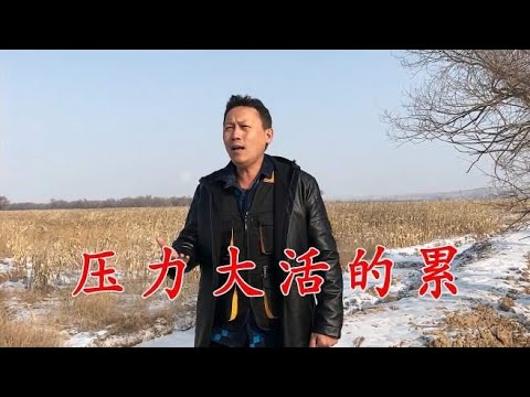 人到中年《压力大活的累》，双哥一首歌唱出多少人的心声，真现实