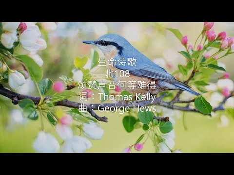 生命诗歌 北108 大135 颂赞声音何等难得