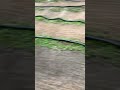 1/8 Scale 4wd RC Nitro Buggy, Backyard RC Track Practice! Off Road Dirt RC Racing!