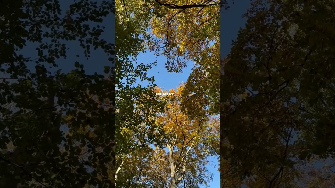 The coziest season 🍁 