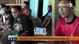 Kasus "Kencing Tikus" di Gunung Kidul Meningkat