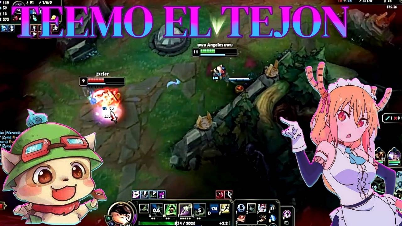 TEEMO EL TEJON