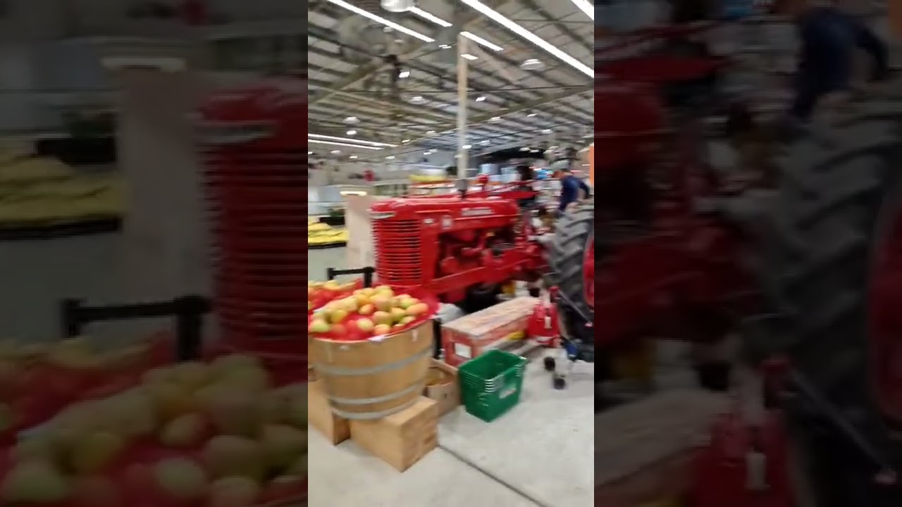 Harris Farm Market 1st birthday Albury NSW Australia YouTube