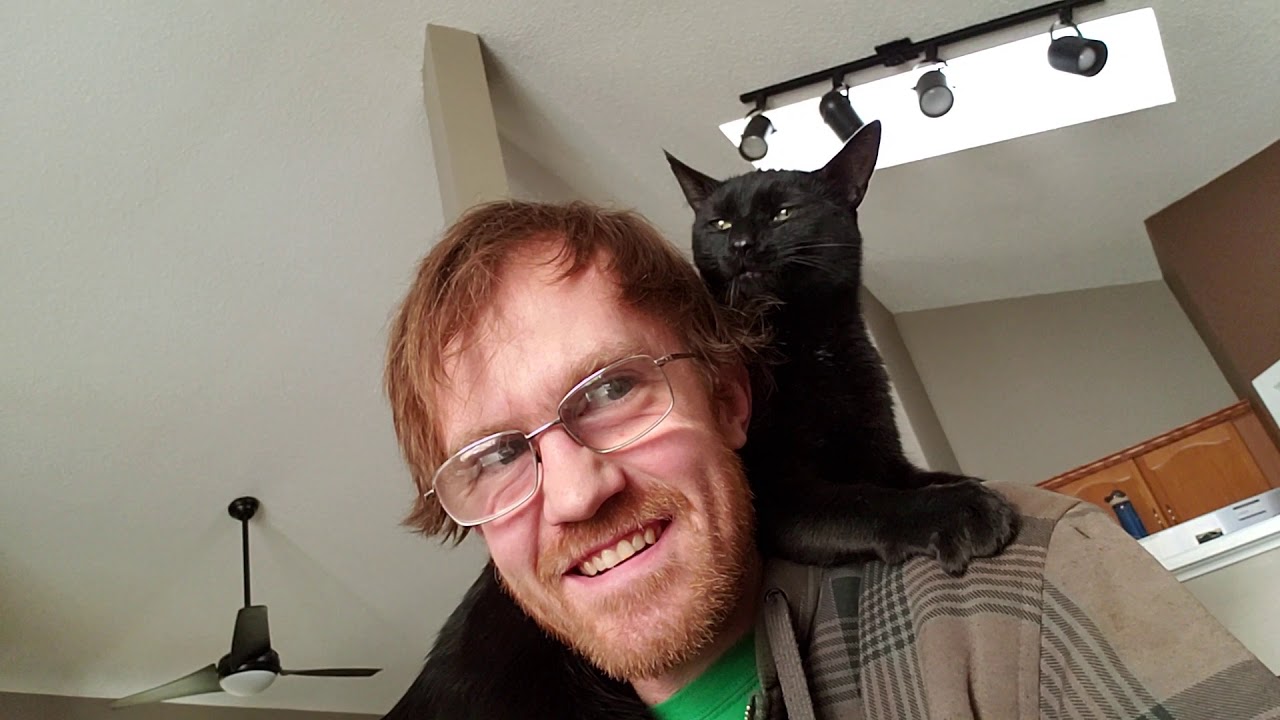 (FUNNY) Cat pulls my hair out and claws my head