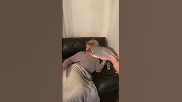 Kyle Thomas 💙 FISH SLAP 😂😭 i’m grounded forever... #kylethomas #shorts