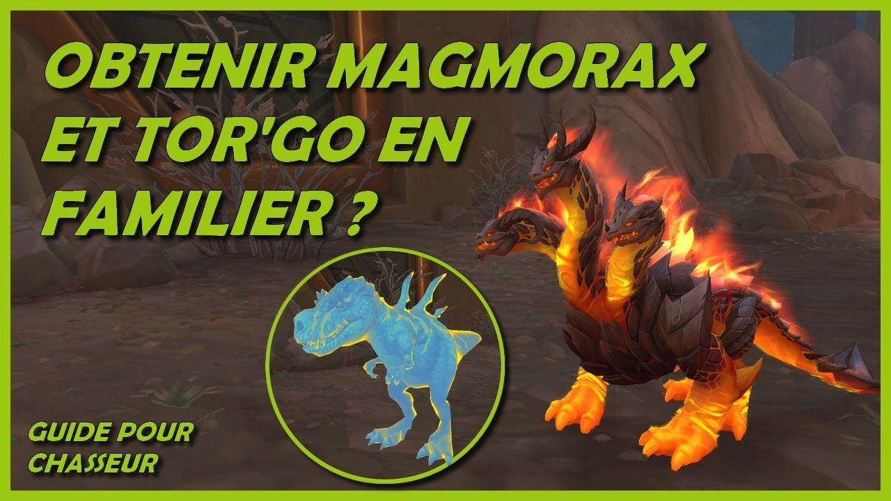 GUIDE FAMILIER CHASSEUR : MAGMORAX ET TOR'GO DOMPTABLES DEPUIS LE PRE-PATCH ?