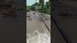 mancing ikan wader kepek #microfhising #mancingwader #mancingmania