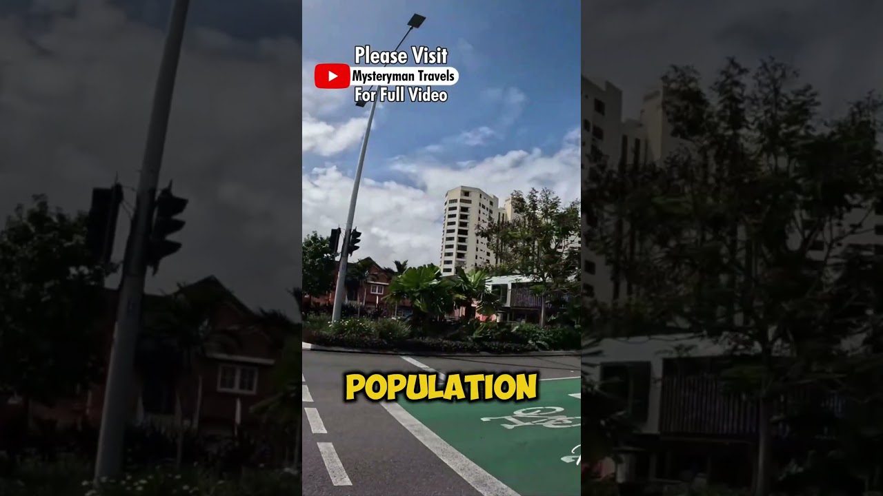 Cairns Travel Guide: Adventure in Tropical Paradise  