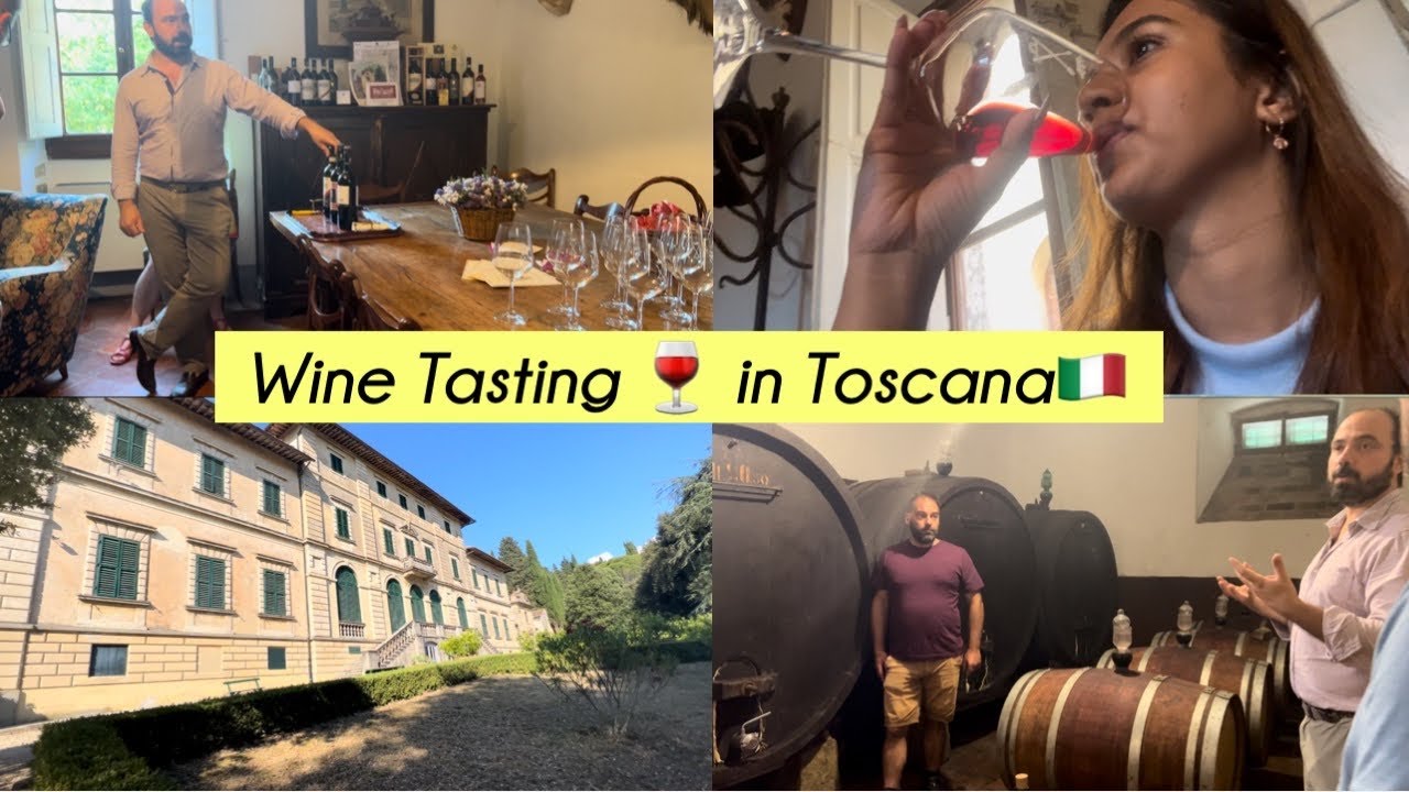 Wine tasting in Florence, Italy 🇮🇹🍷 *TRAVEL VLOG* Tuscany Vineyard