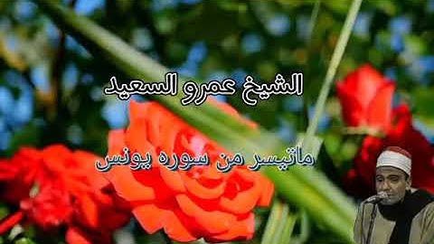 الشيخ عمرو السعيد القارئ بجمهورية ما تيسر من سوره يونس