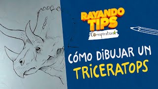 Cómo dibujar un Triceratops 🦊🦊🦊  Paso a Paso