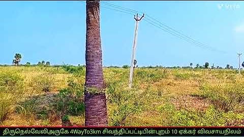 திருநெல்வேலி நான்கு வழி சாலை சிவந்திபட்டி என்கிற இடத்தில் 9360070041