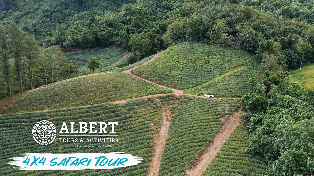 Safari Tour in Moorea, French Polynesia!