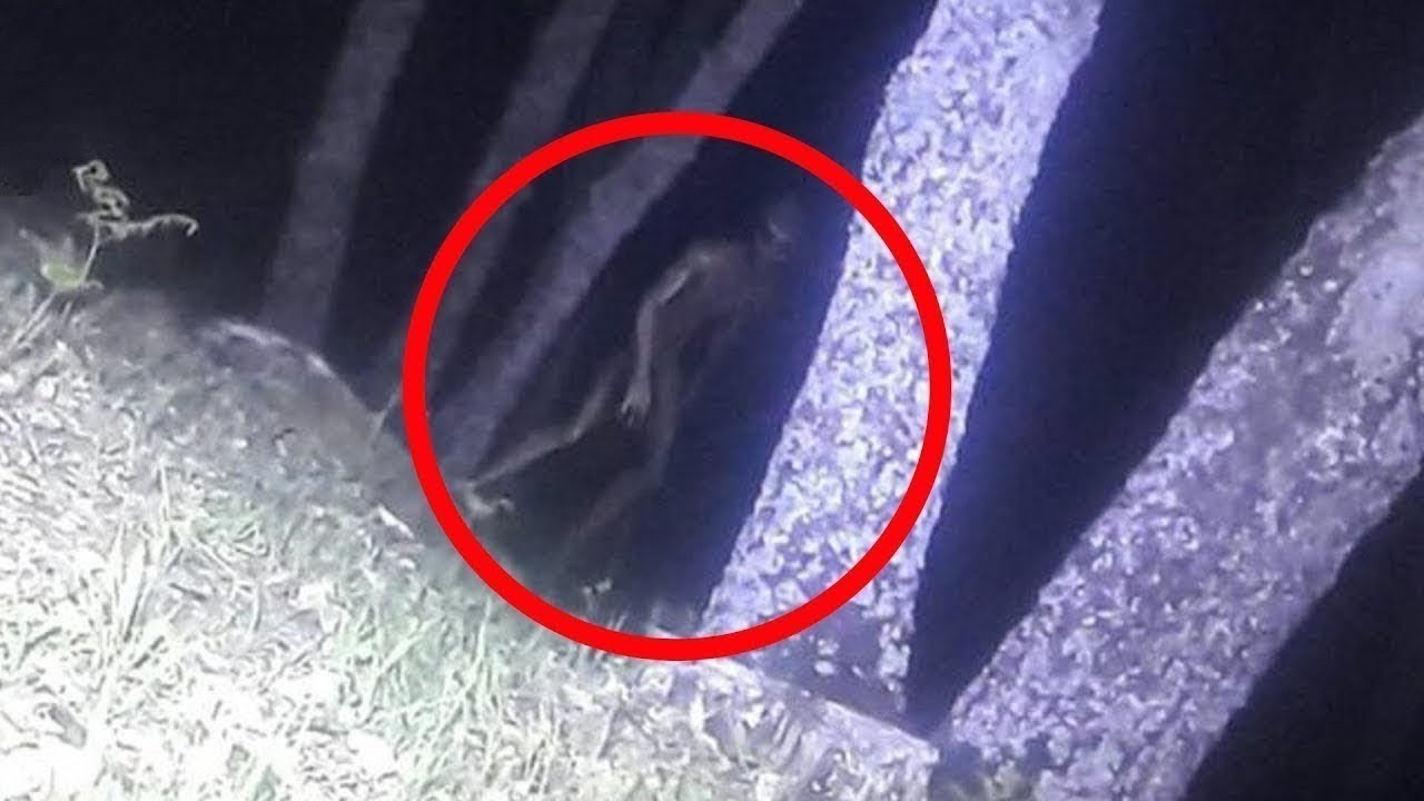 10 Cosas extrañas encontradas en el bosque - YouTube