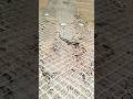 wire mesh || F conduit || #viral #building #construction #youtube #subscribe #views #wall #wire #1k