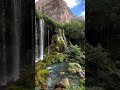 Peaceful Waterfall Sounds With Birds Chirping 🌿 Nature Music for Sleep and Deep Relaxation #Shorts