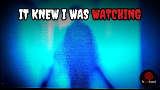 Alone at a Remote Research Station. It Only Showed Up on Camera.