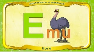 Multipedia Of Animals. Letter E - Emu