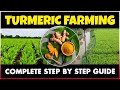 Turmeric farming  how to grow turmeric plant at home  turmeric cultivation