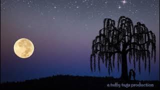 Shine On Harvest Moon, cover by Jim Pryts