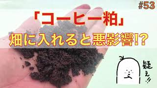 【#53】コーヒー粕，畑に入れると悪影響!肥料としては使えない，野菜への生育阻害を誘発する