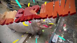 Calon Sarjana! Ketemu Hewan Ini Langsung Lari dan Minta Tolong!!! Jangan Sampe Kegigit